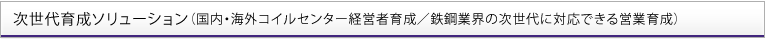 次世代育成ソリューション（国内・海外コイルセンター経営者育成／鉄鋼業界の次世代に対応できる営業育成）