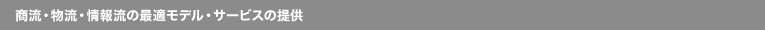 商流・物流・情報流の最適モデル・サービスの提供
