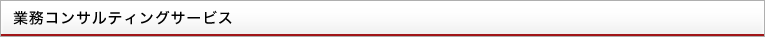 業務コンサルティングサービス