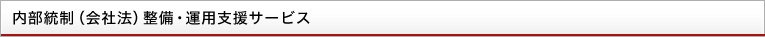 内部統制（会社法）整備・運用支援サービス