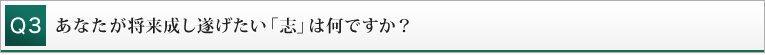 Q3 あなたが将来成し遂げたい「志」は何ですか？