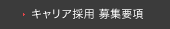 キャリア採用 募集要項